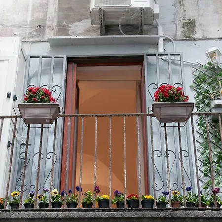 Hébergement de vacances Domus Sanfelice